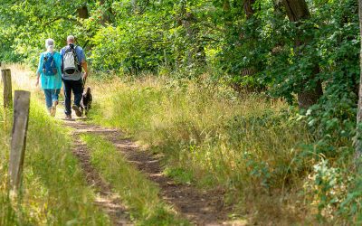Rund ums Wandern: Entdecke die Routenvielfalt in der Burggemeinde Brüggen