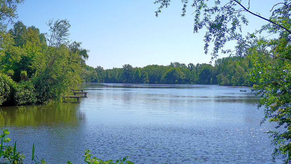 Foto Stege Borner See