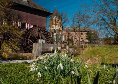 Foto Schneeglöckchen an der Skyline