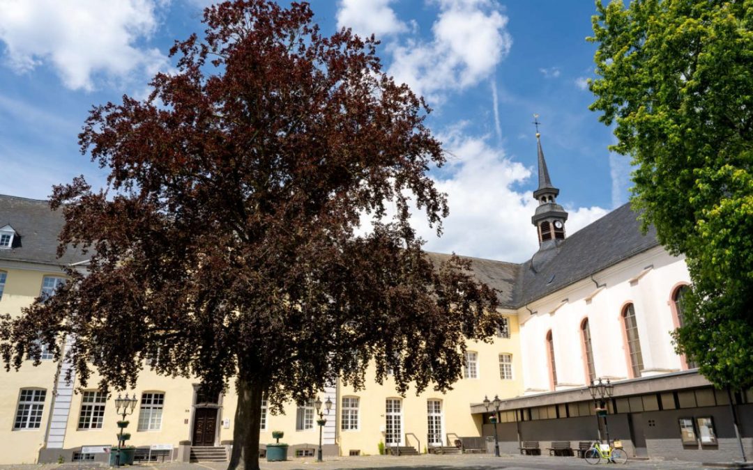 Baumhaft schöne Radtour – Unsere neue Broschüre ist da!