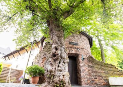 Foto Ahorn Messerturm