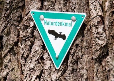 Foto Plakette Naturdenkmal
