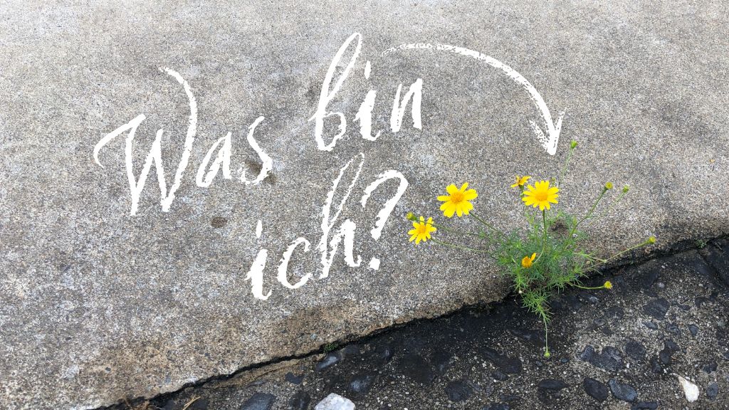 Blume im Bürgersteig Grafik Blume im Bürgersteig mit Text "Was bin ich" und Pfeil