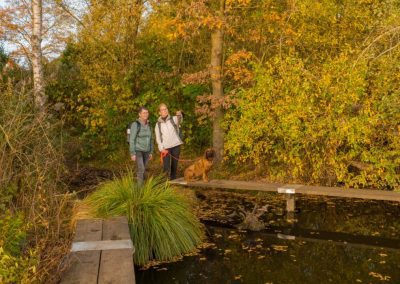 Foto Stege am Borner See