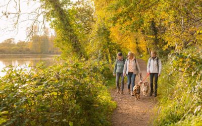 Goldener Herbst – Die Burggemeinde Brüggen im Wandel der Jahreszeiten