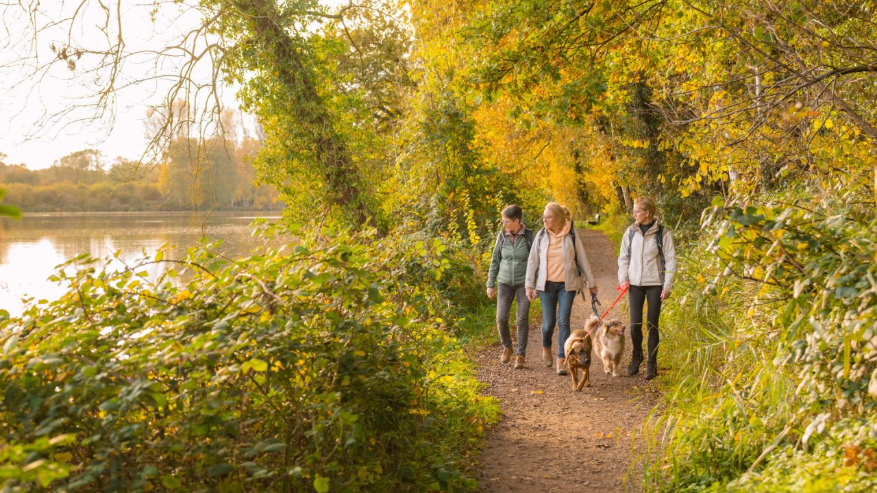 Wandernde am Borner See im Herbst Foto Wandernde am Borner See im Herbst