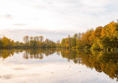 Foto Borner See im Herbst