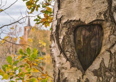Foto Herzbaum Borner See