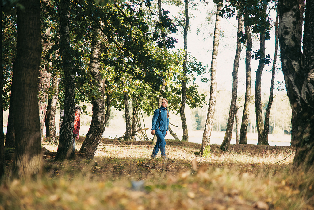 Foto Wohlfühlwanderung im Wald