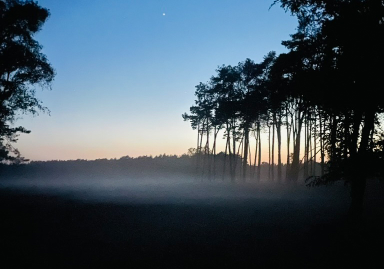 Foto Abendwanderung Brachter Wald