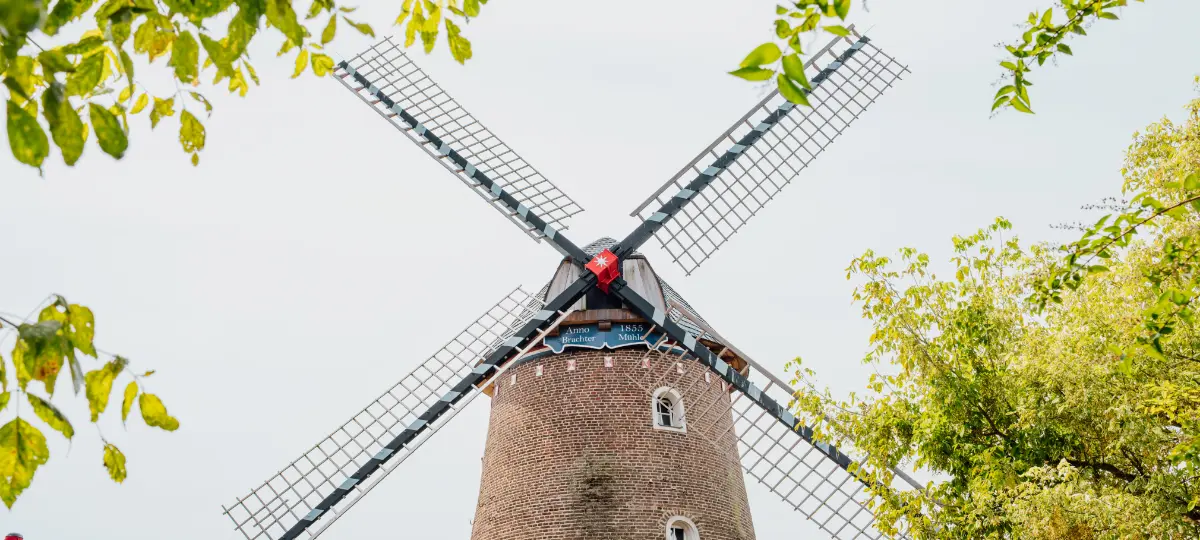 Foto Startbildschirm Brachter Mühle Sommer