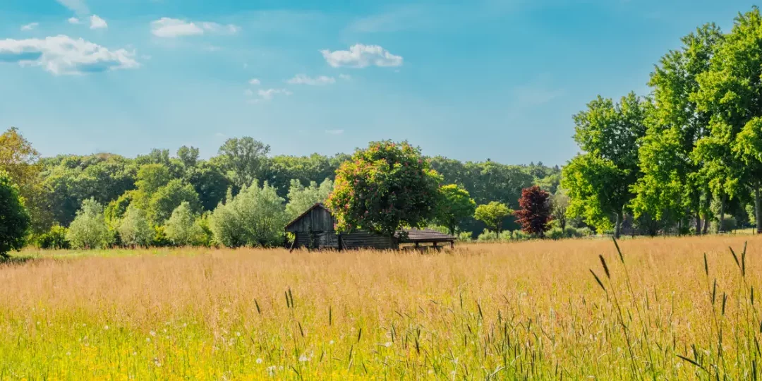 Heiße Tage in der Burggemeinde
