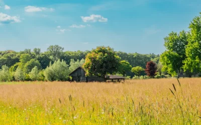 Heiße Tage in der Burggemeinde