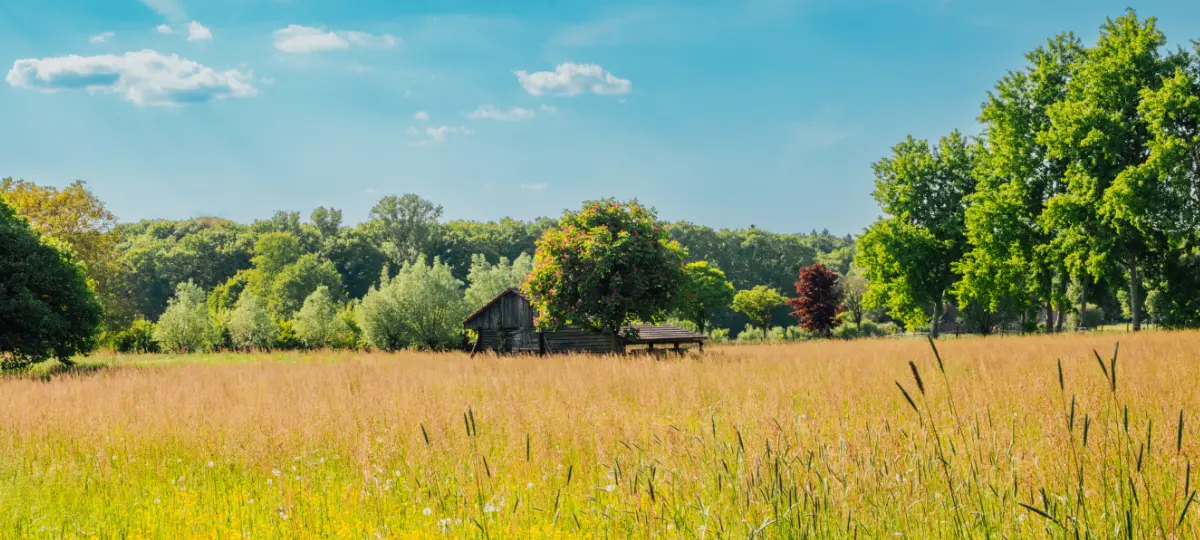 Foto Startbildschirm Haus im Feld