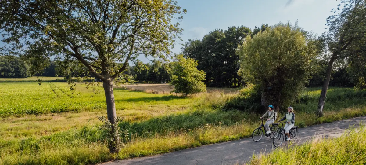 Foto Startbildschirm Radfahrende im Feld