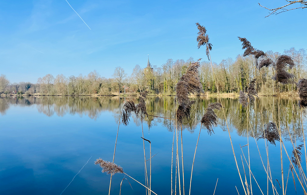Foto Borner See