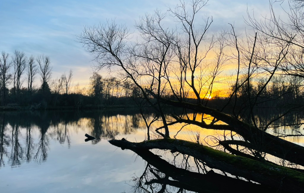 Foto Borner See bei Sonnenaufgang