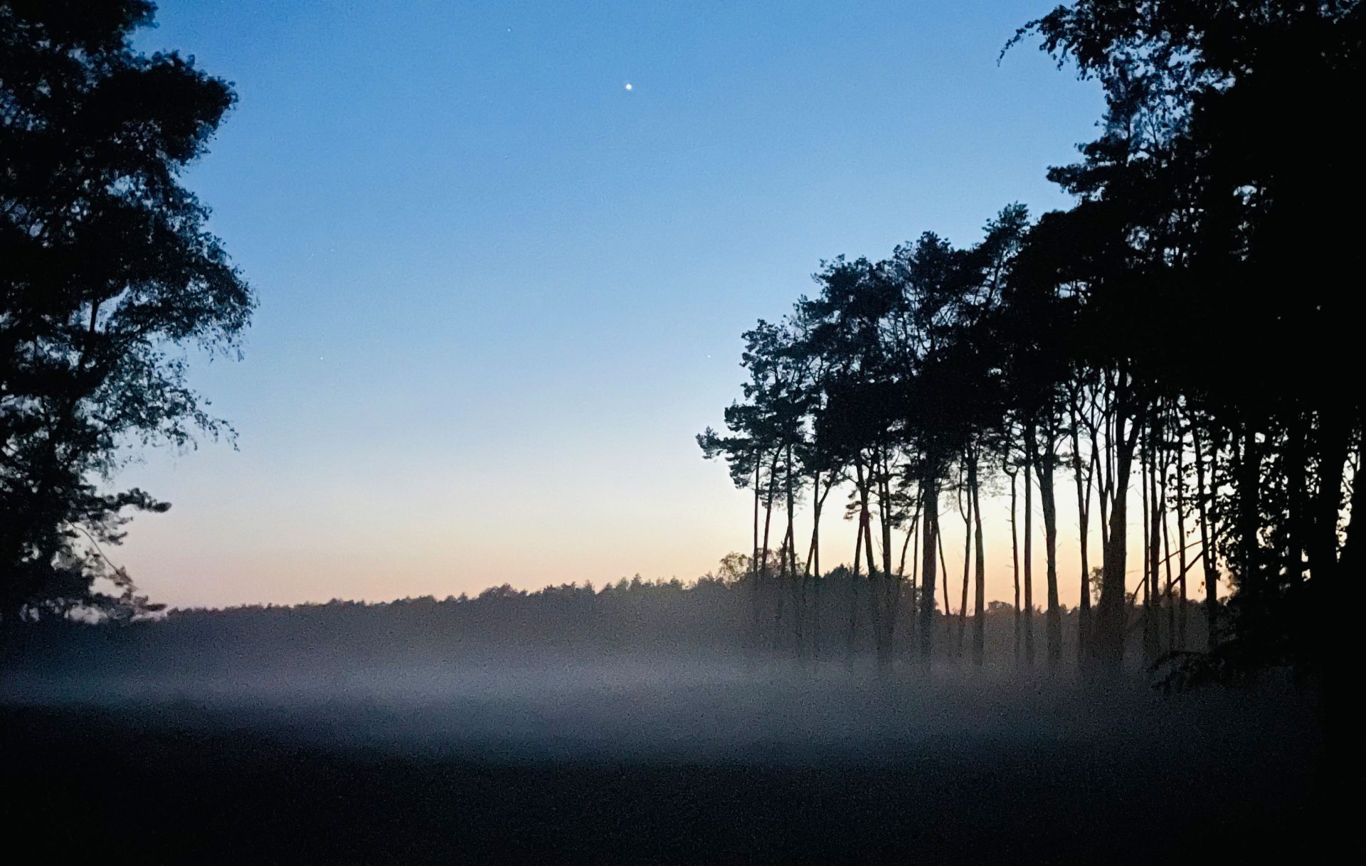 Abendwanderung Brachter Wald Inga Rahn
