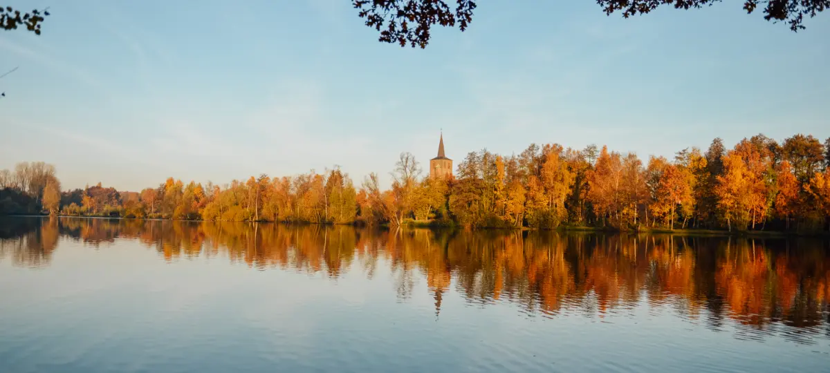 Foto Borner See im Herbst