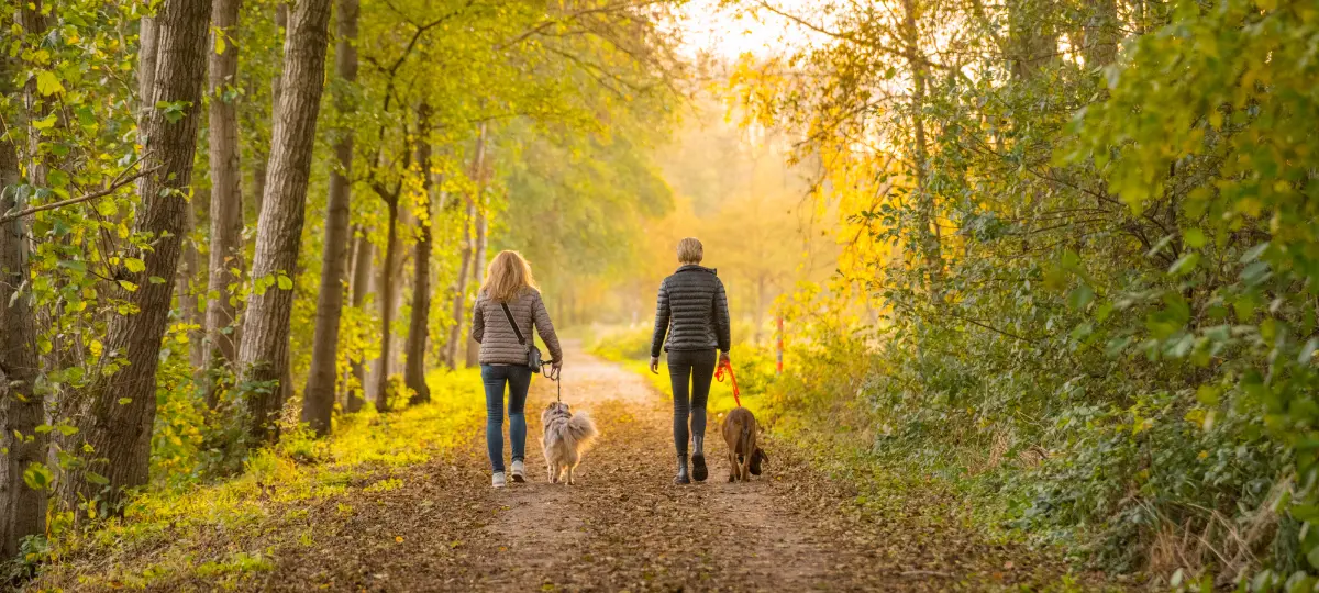 Foto Spaziergänger im Herbst